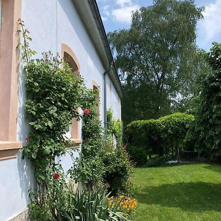 Ferienwohnung Maurer Hasborn-Dautweiler Buitenkant foto