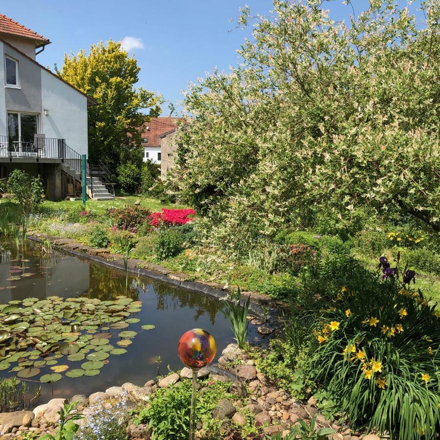 Ferienwohnung Maurer Hasborn-Dautweiler Buitenkant foto