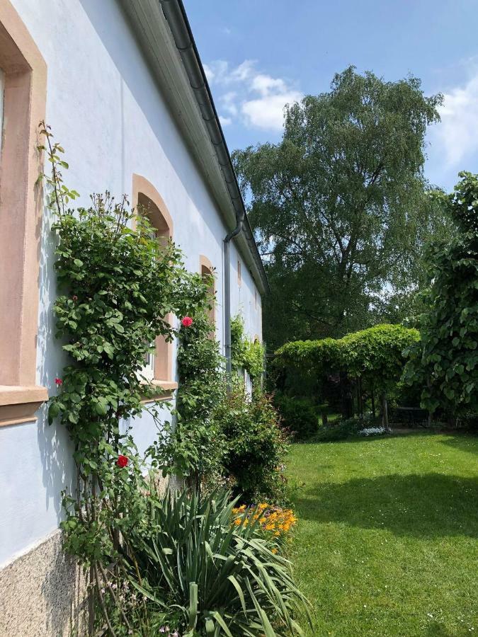 Ferienwohnung Maurer Hasborn-Dautweiler Buitenkant foto