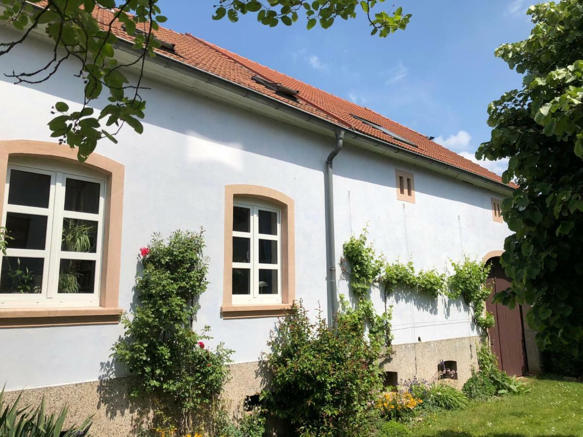 Ferienwohnung Maurer Hasborn-Dautweiler Buitenkant foto