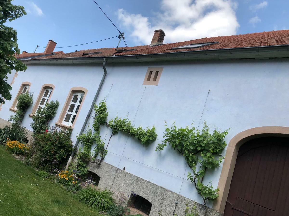 Ferienwohnung Maurer Hasborn-Dautweiler Buitenkant foto